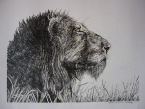 "Portrait Tinted Mained Lion"