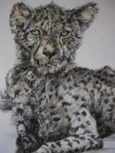 "Young Tinted Cheetah"