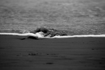 "Sea and Sand"