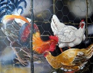 "Chickens"