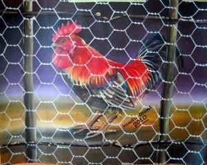 "Rooster"