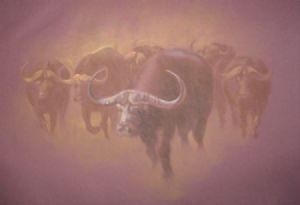 "Blue Buffalo"