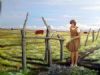 "Girl at Crossroads"