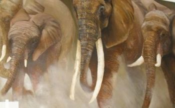 "Charging Elephants"
