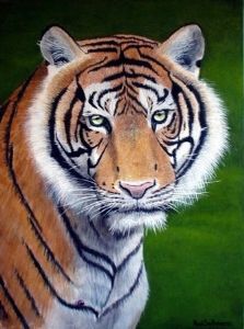 "Tiger's Eyes"