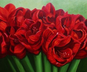 "Ruby Amaryllis"