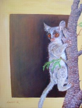 "Bushbaby"