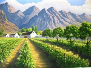 "Boland Vineyard"