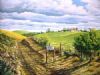 "Wheat & Canola Overberg"