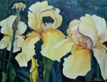 "Yellow Iris"