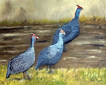 "3 Guineafowl on My Road"