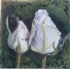 "Two White Rosebuds"