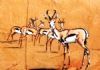 "Ama Bokke Bokke"