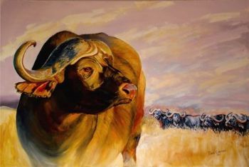 "Buffels in Die Vrystaat"