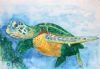 "Sea Turtle 1"