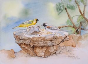 "Finches' Feast"