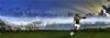 "Springboks in New Zealand"