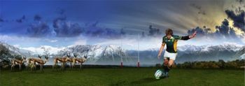 "Springboks in New Zealand"