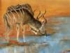 "Kudu at Waterhole"