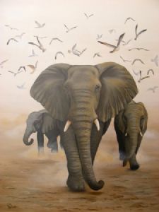 "Elephants in the Dust"