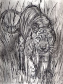 "Ghost Tiger"