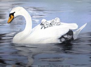 "A Mother"