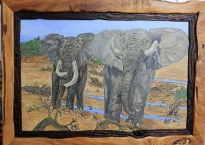 "Elephants"