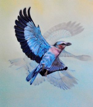 "Lilac Breasted Roller"