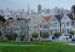Painted Ladies of San Francisco