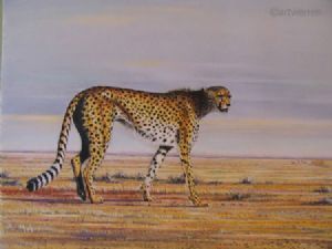 "Distant Gaze"