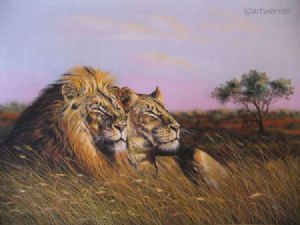"Double Gaze"