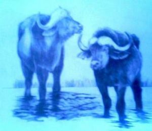 "Buffalo in the River"