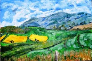 "Ripe Canola field in the Overberg"