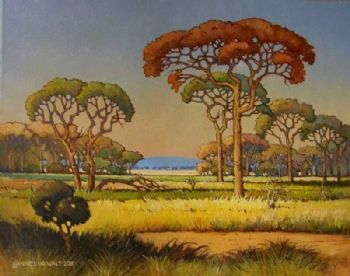 "Morning Glow, Bushveld (Pierneef Style)"