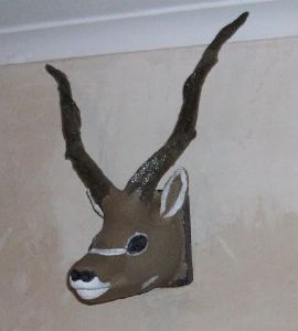 "Kudu"
