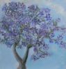 "Jacaranda"