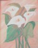 "Arum Lilies"