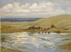 "Rain-Soaked Dunes - Port Alfred"