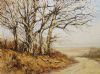 "Dry Mid Winter Scene"