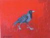 "House Crow"