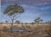 "Gemsbuck at Waterhole"
