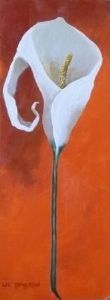 "Tangerine Arum Calla Lily"