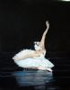 "Swan Lake #1"