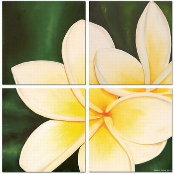 "Frangipani"