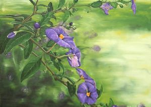 "African Violets"