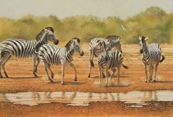 "Shigani Waterhole"