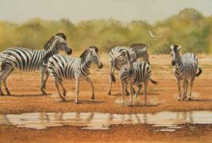 "Shigani Waterhole"