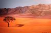 "Namibia Landscape"