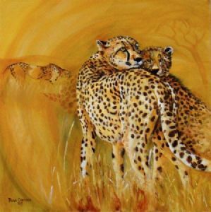 "Jagluiperd/Cheetah"