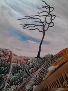 "Wind Direction 1"
